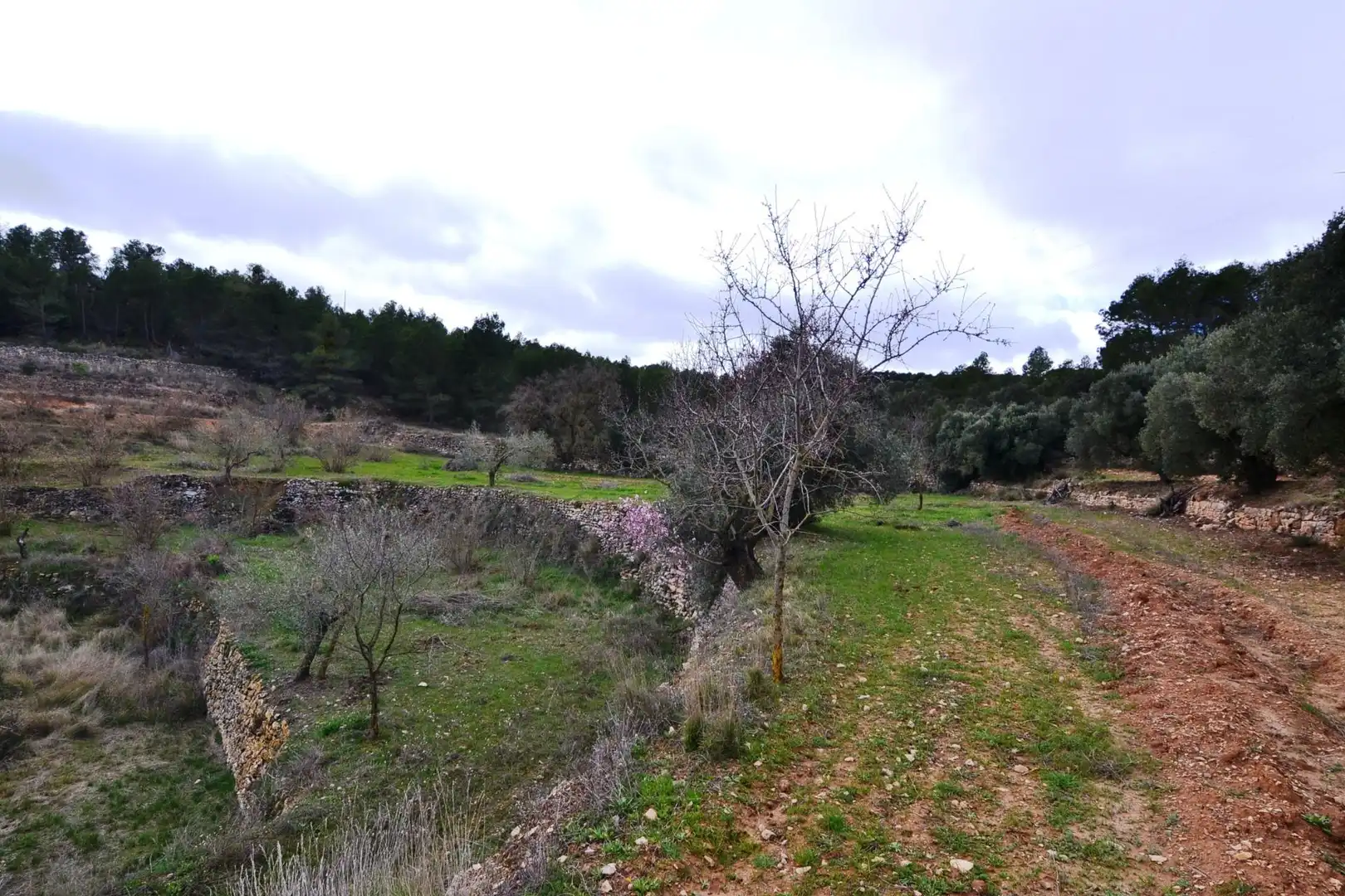Terreno en venta en Vilalba dels Arcs
