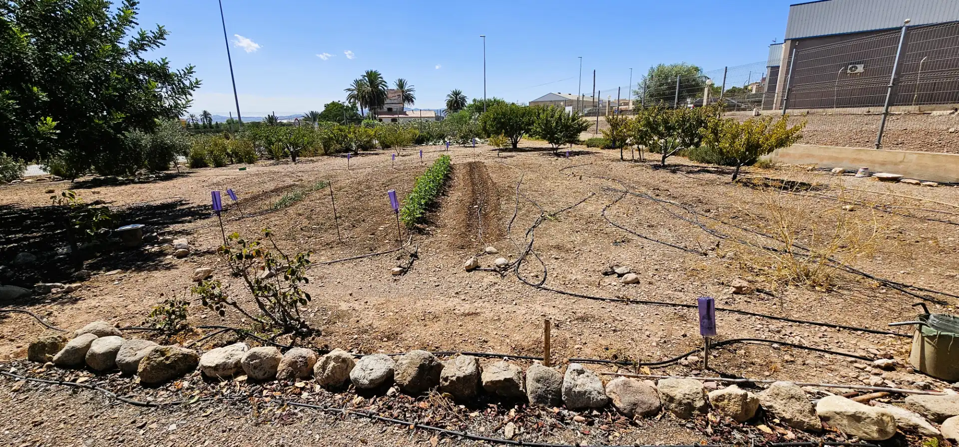 Nave industrial en venta en Totana