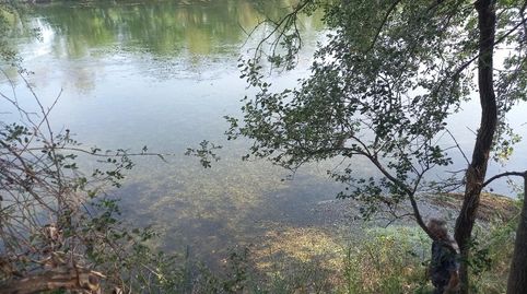 FINCA RUSTICA EN GINESTAR A ORILLAS DEL RIO EBRO, immagine 4