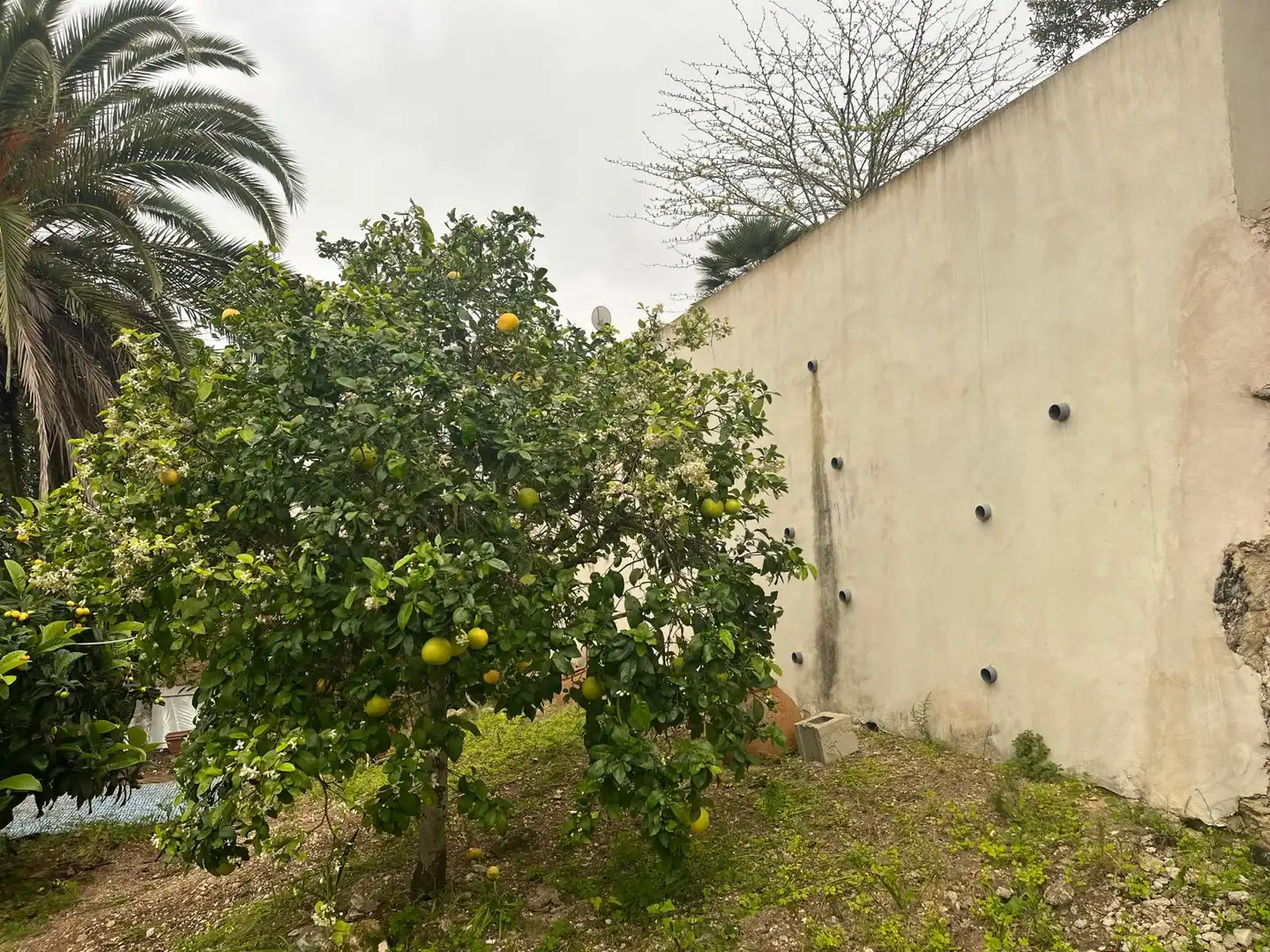Casa en venta en Cap Martí - El Tossalet - Pinomar, imagen 39