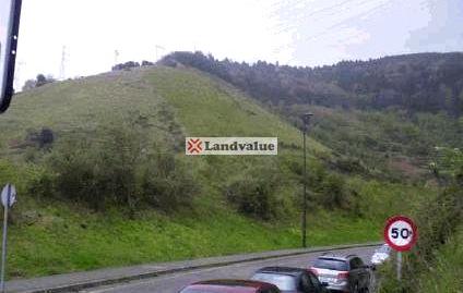 Foto 2 de Terreno industrial en venta en Irustabidea, La Peña, Bizkaia