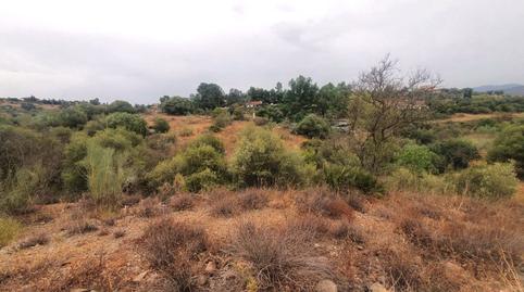 Foto 5 de Finca rústica en venda a Campanillas, Málaga