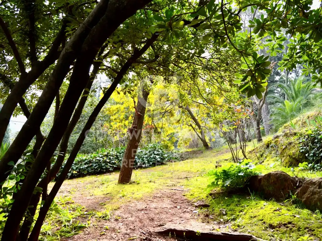 Jardín de Finca rústica en venta en Castellví de Rosanes