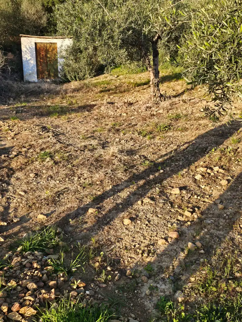 Terreni e lotti in vendita a Alozaina, imagen 6