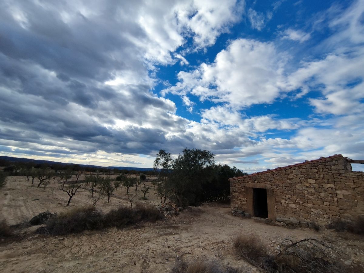 Vista exterior de Finca rústica en venda en Seròs