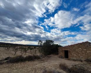 Exterior view of Country house for sale in Seròs