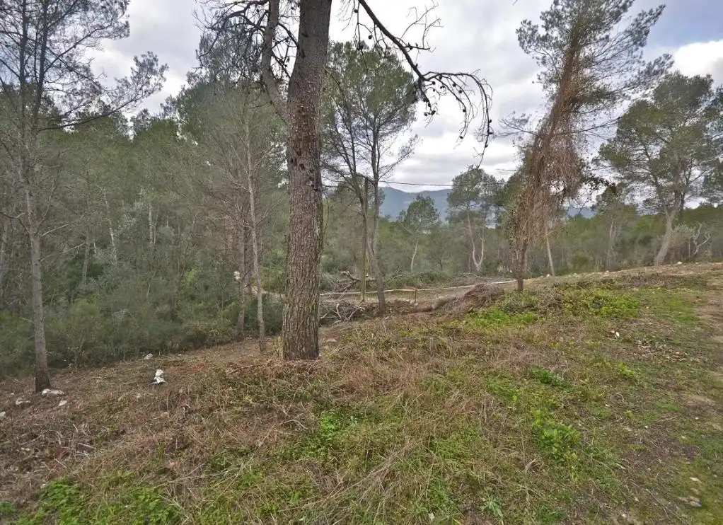 Terrain rustique à vendre à MONTGROS, imagen 9