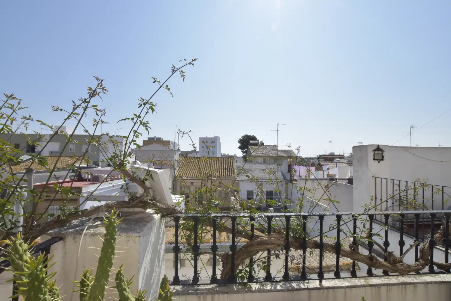 Vista exterior de Casa o chalet en venta en Rafelbuñol / Rafelbunyol con Aire acondicionado, Calefacción y Terraza