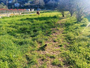 Terreno residenziale in vendita a Coruxo - Oia - Saiáns