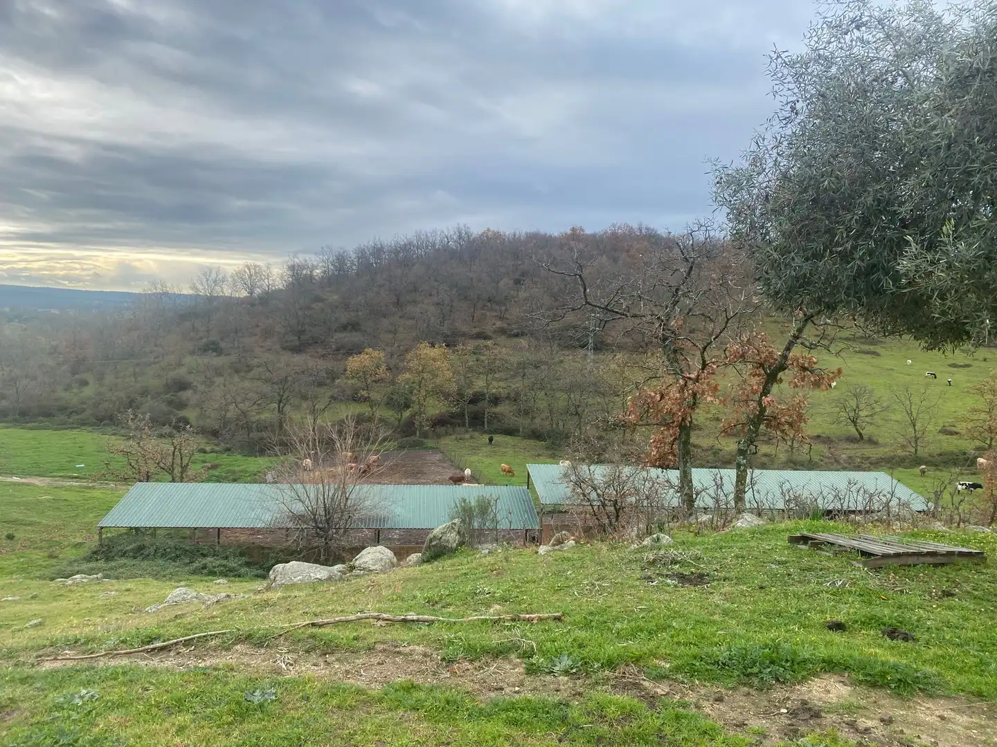 Terreni e lotti in vendita a Candeleda, imagen 18