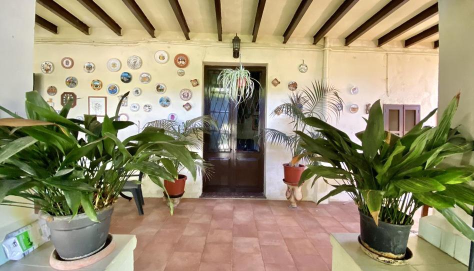 Photo 1 of House or chalet for sale in Carrer de Les Vinyes, Son Serra - Sa Vileta, Illes Balears