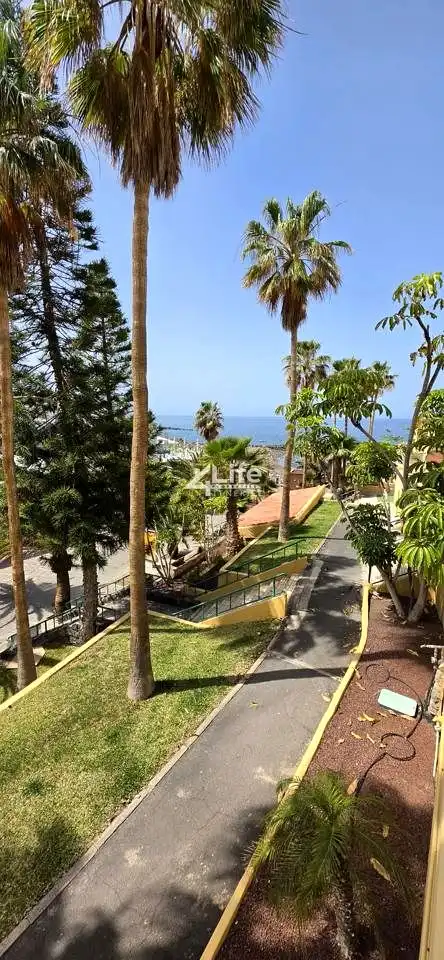 Appartement compact à vendre à Avenida Eugenio Dominguez Alfonso, imagen 17