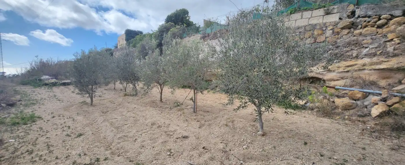 Terreno rustico in vendita a Vial Camino, imagen 17