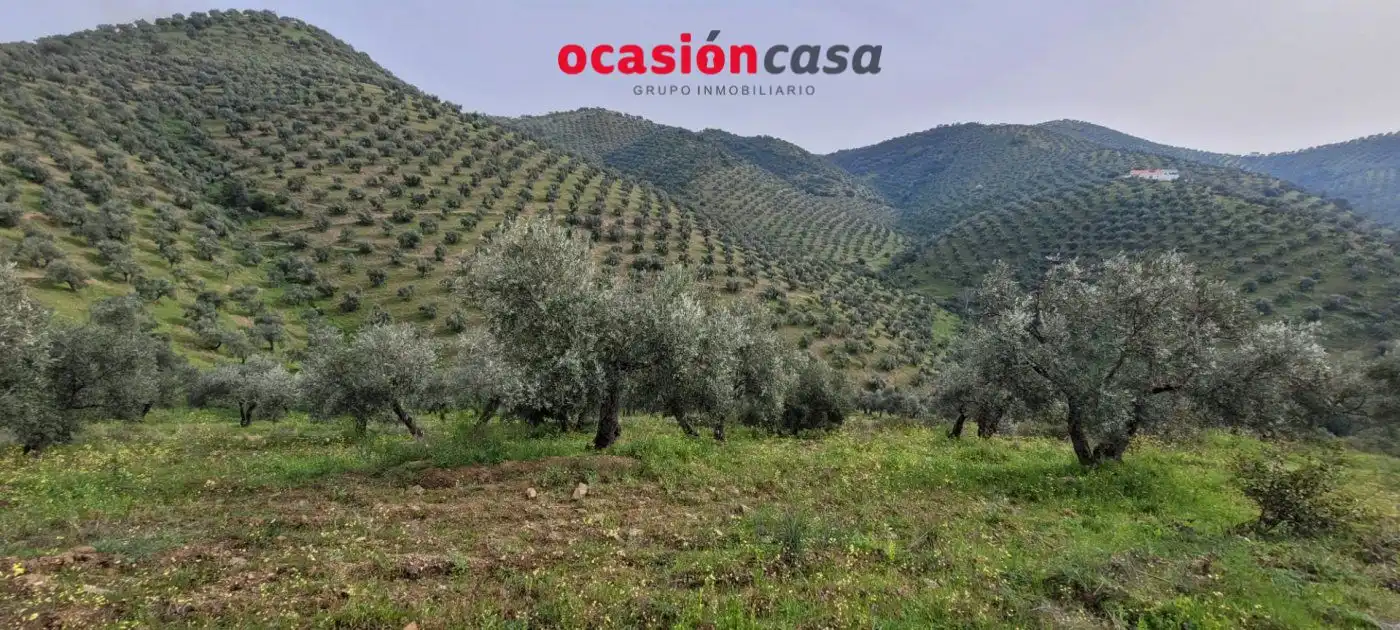Casa rústica en venda a Pozoblanco, imagen 4
