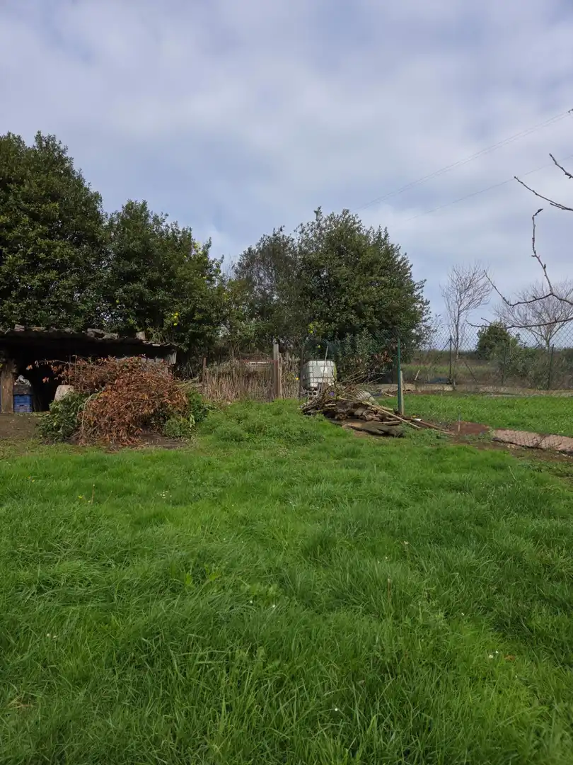 Terreno en venta en Carreño
