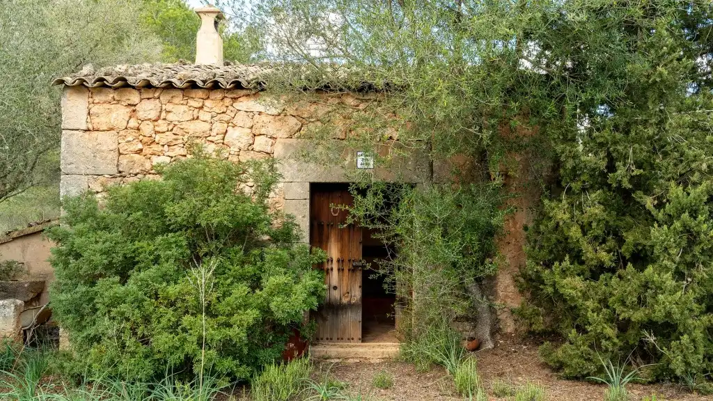 Casa rústica amb piscina en venda a Algaida, imagen 22