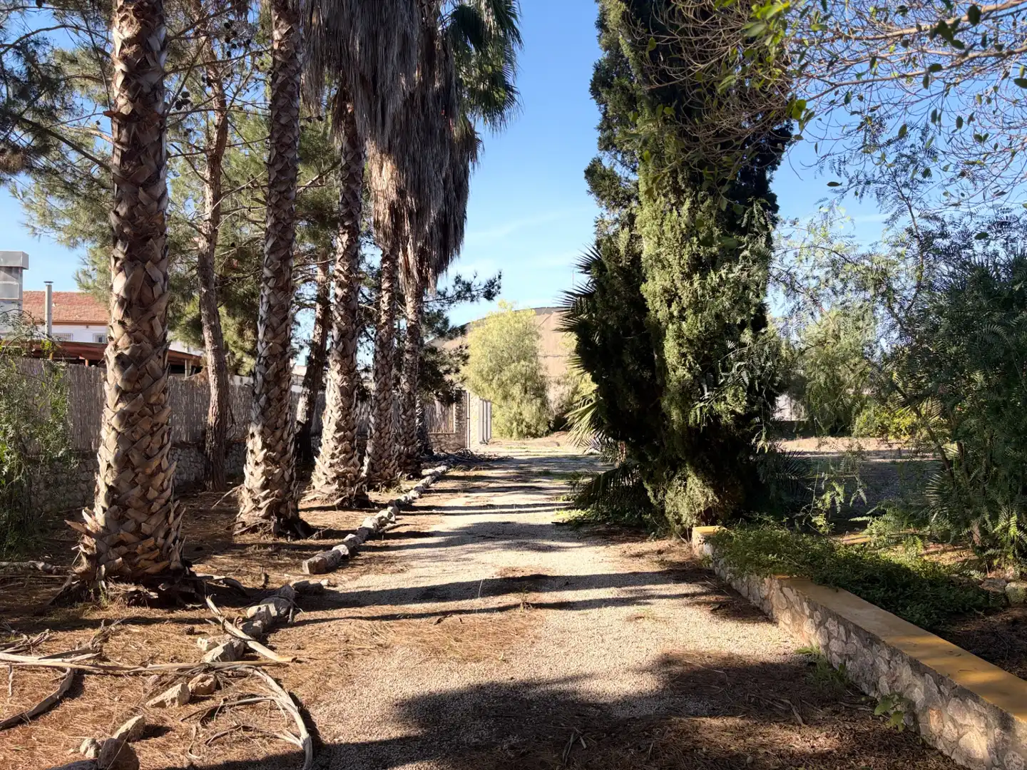 Lands and plots for sale in Abanilla