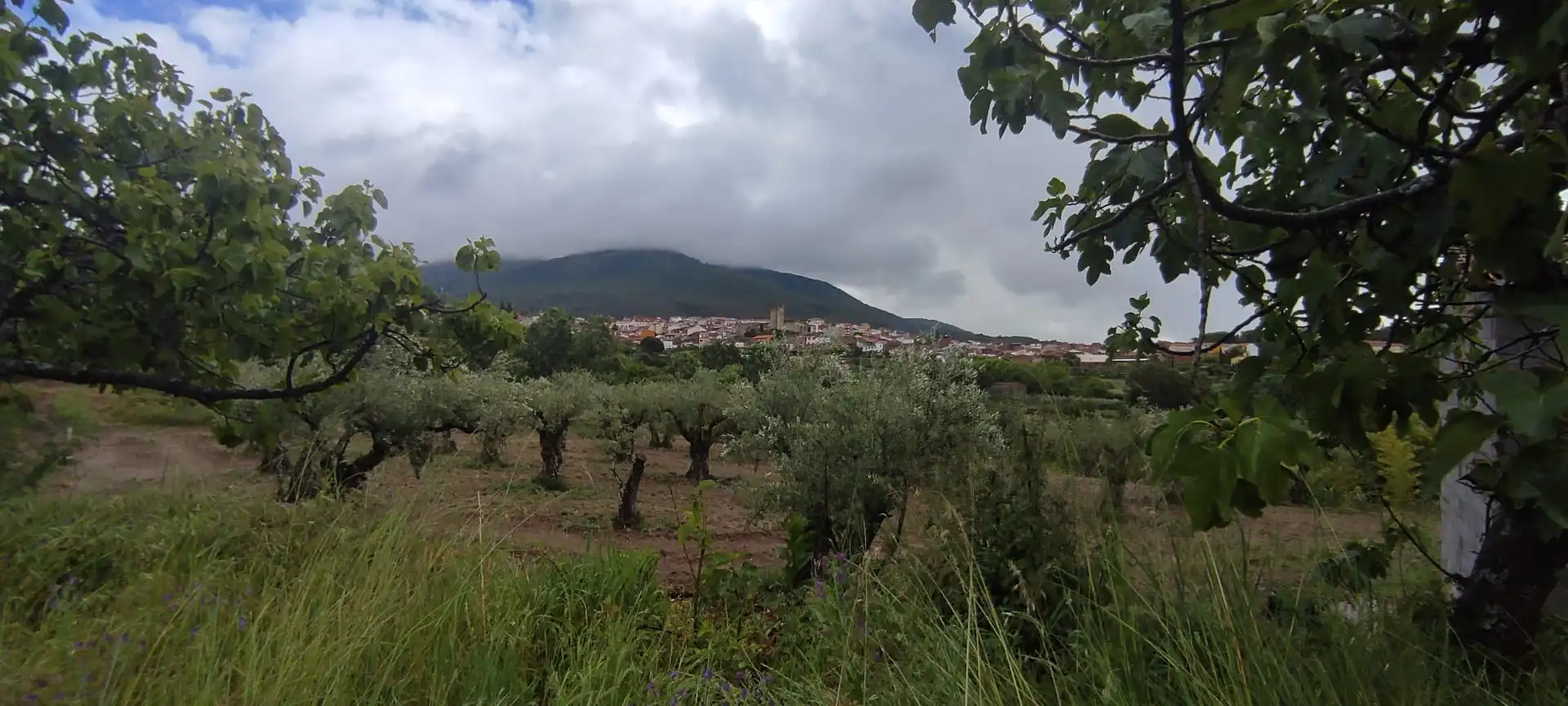 Terreni e lotti in vendita a Jarandilla de la Vera, imagen 2