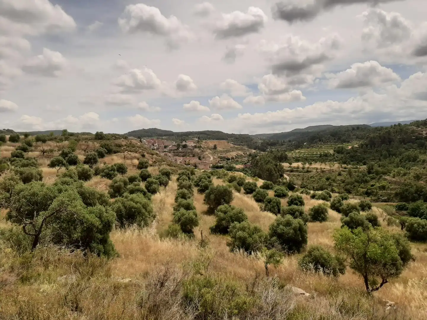 Casa adosada en venda en Cervià de Les Garrigues amb Jardí privat, Terrassa i Balcó