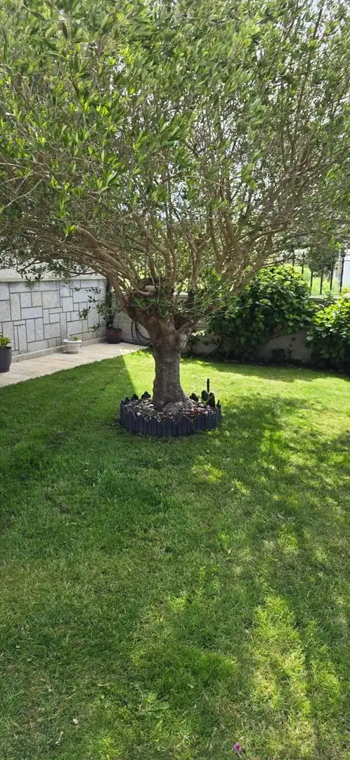 Jardí de Casa o xalet en venda en Vilagarcía de Arousa amb Calefacció, Jardí privat i Terrassa