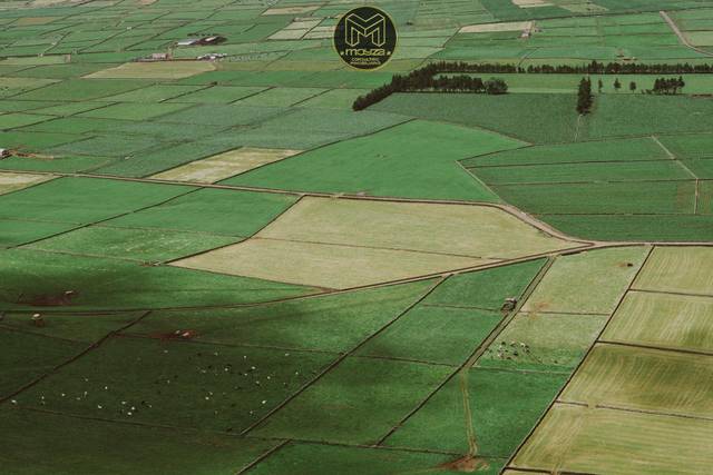 Terreno residencial en Venta en Huerta Nueva