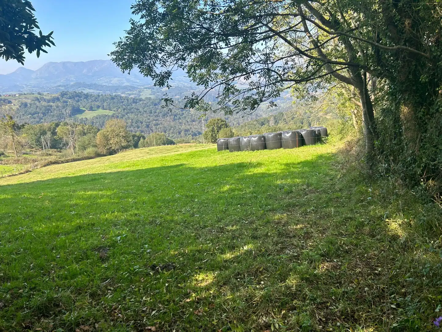 Terrenos y solares en venta en Parres, imagen 22