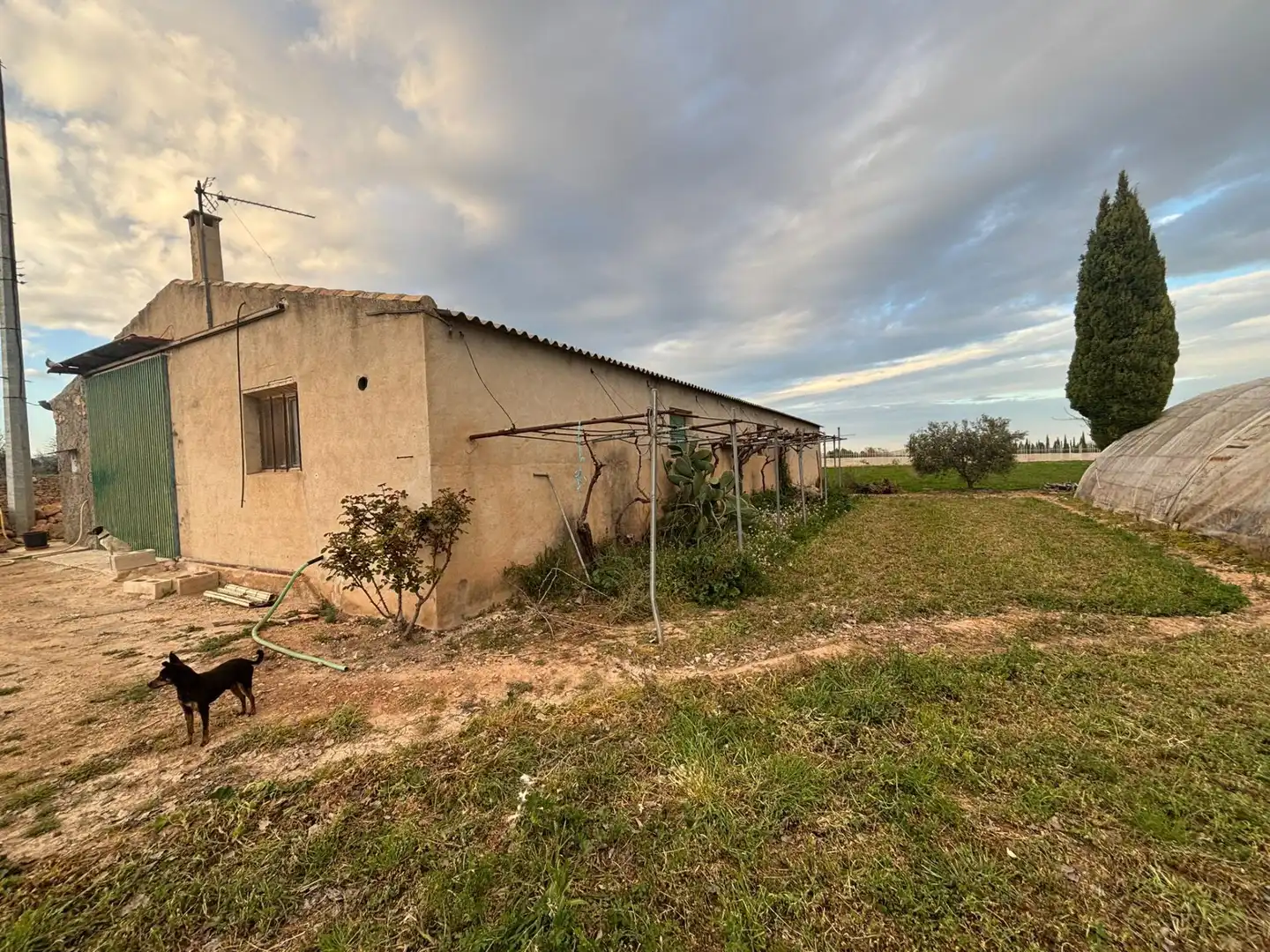 Terreno en venta en Caravaca de la Cruz