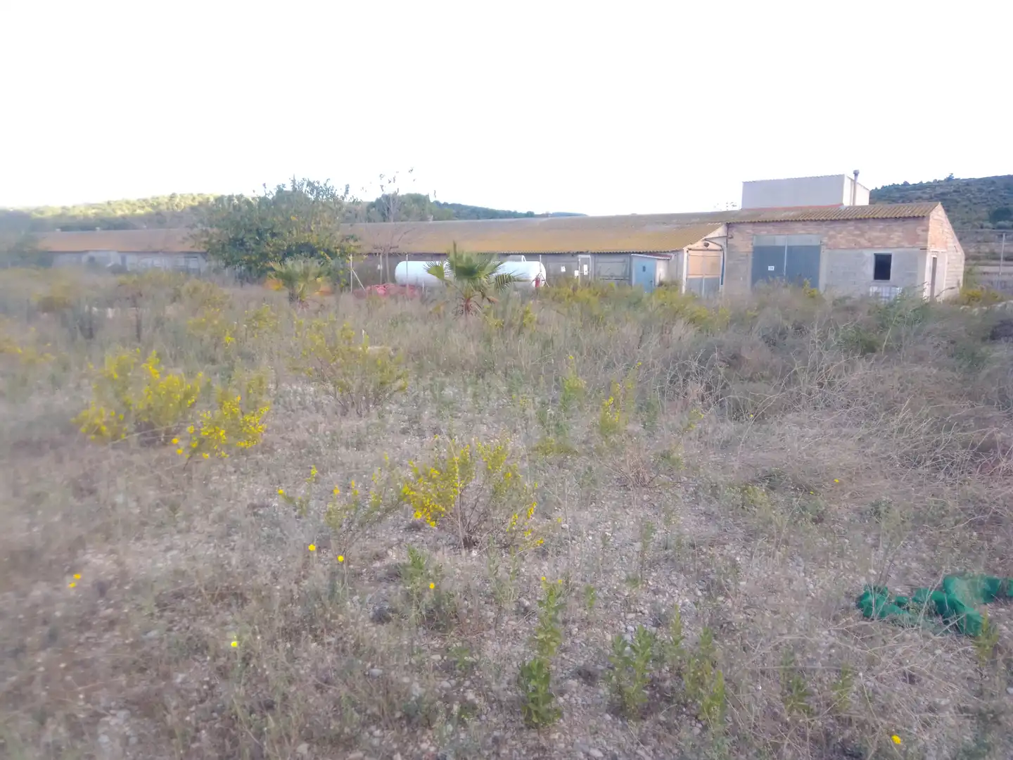Nave industrial en venta en Traiguera