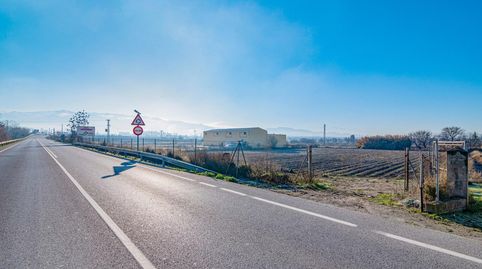 Magnífica finca de regadío en la Vega de Granada, con acceso directo., imatge 3