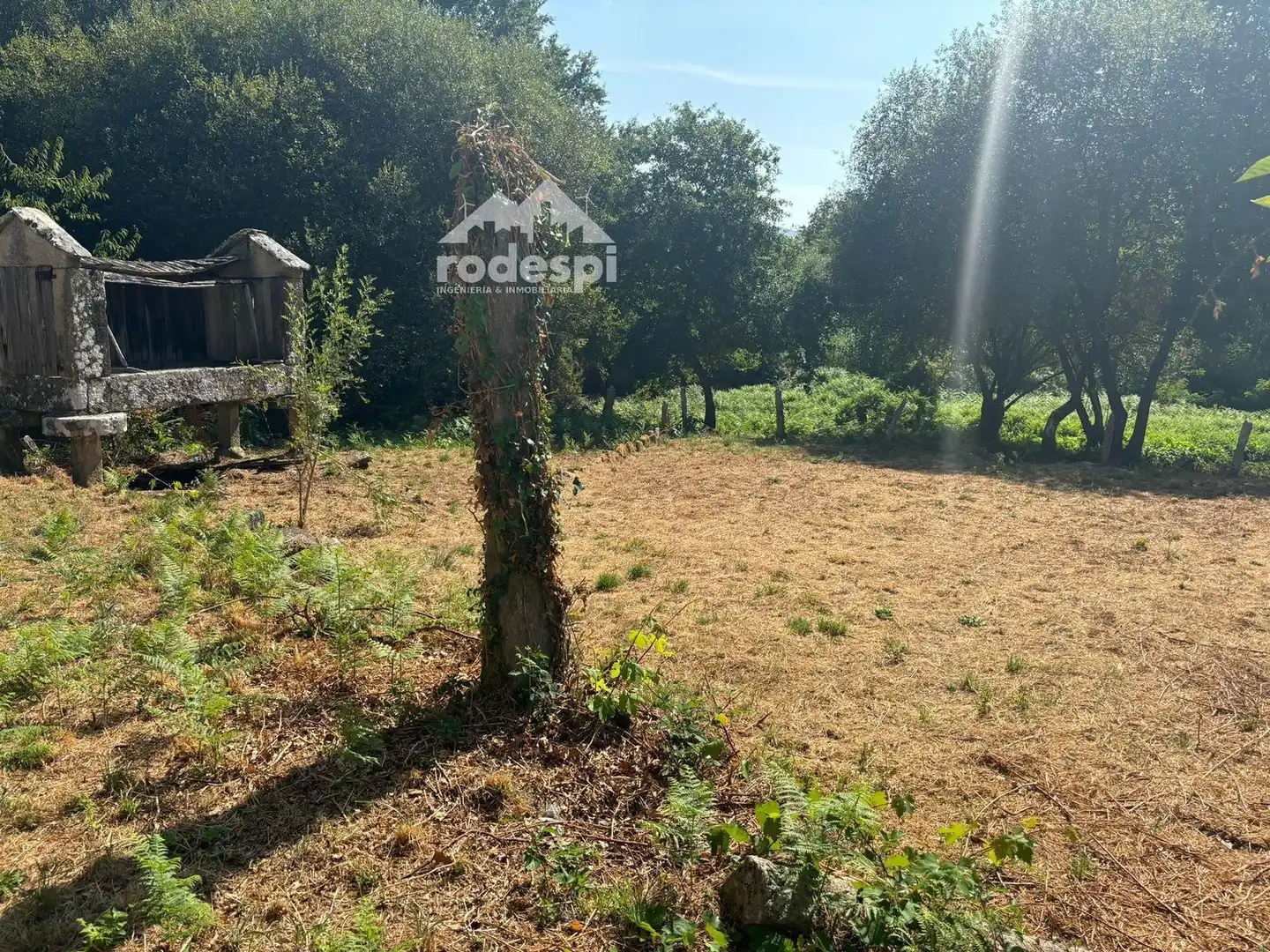 Houses for sale in Arbo