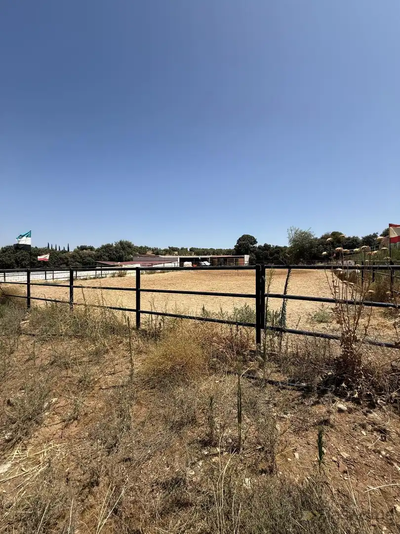 Finca rústica en venta en San Pedro de Mérida con Amueblado