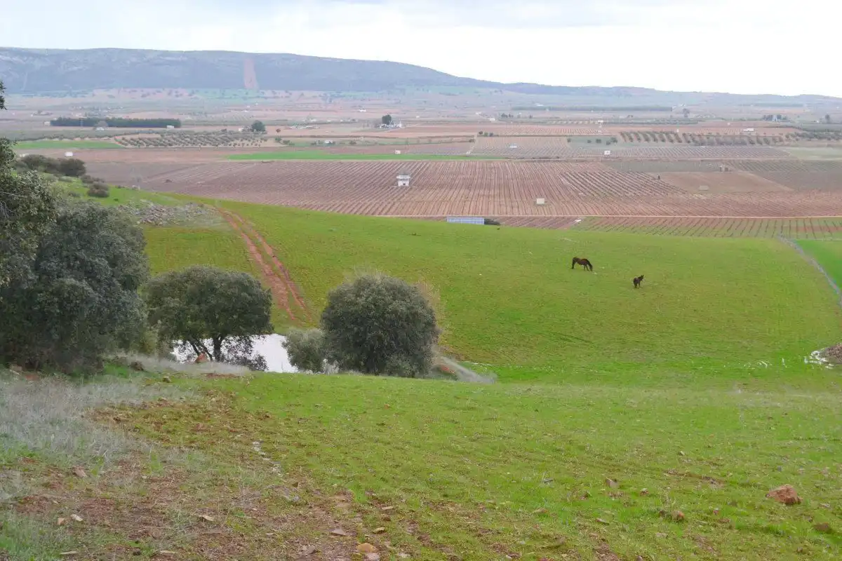 Casa rústica en venda a Valdepeñas, imagen 6