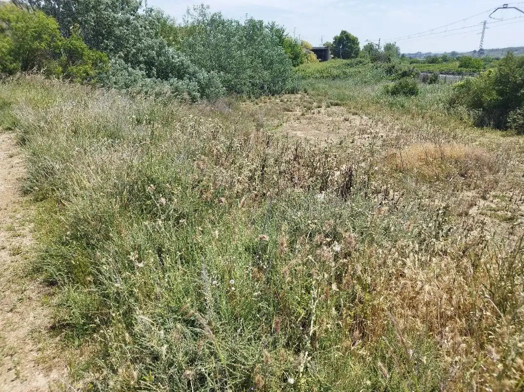 Finca rústica en venta en Puigverd de Lleida