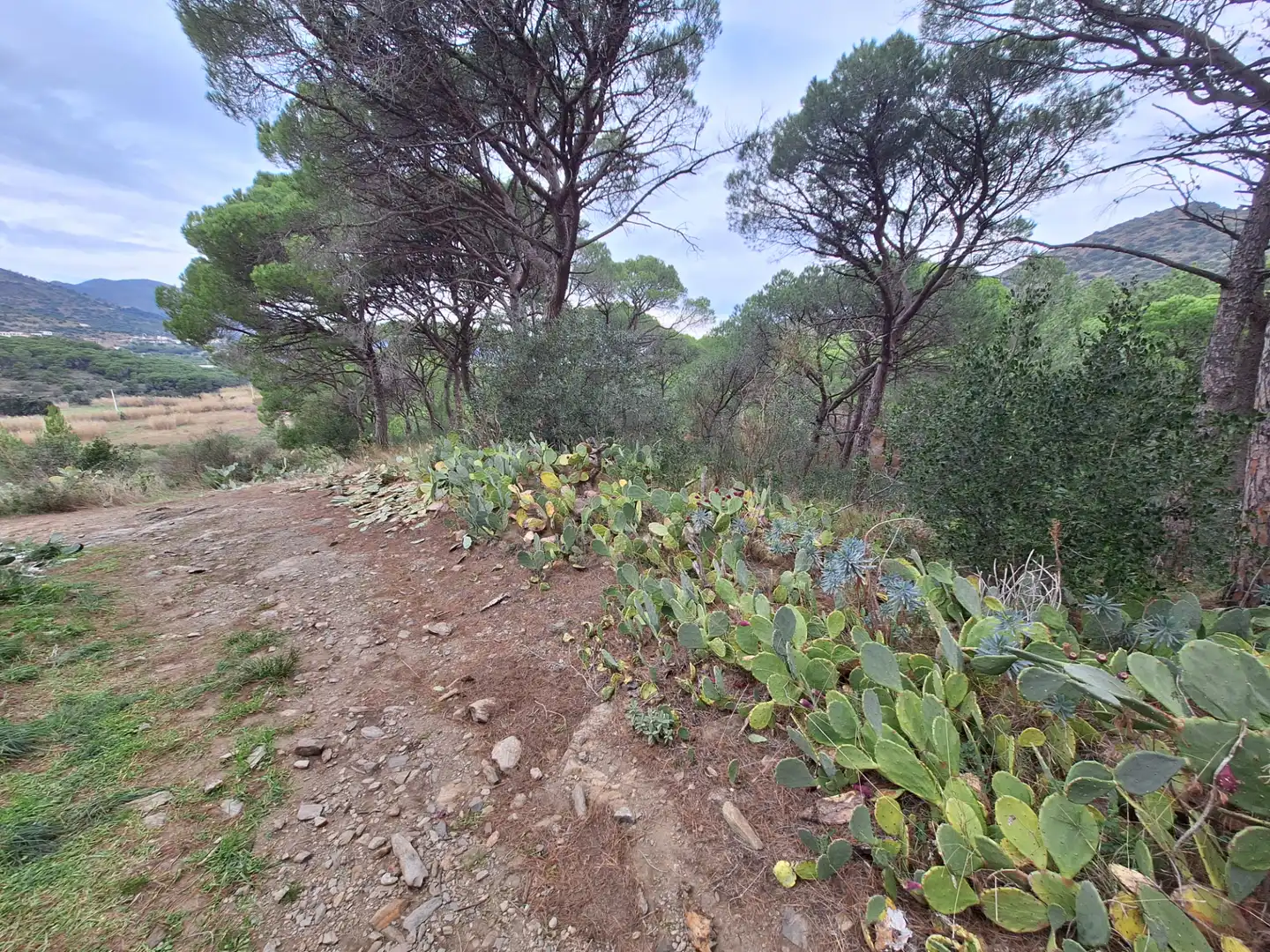 Rural land for sale in El Port de la Selva, imagen 2
