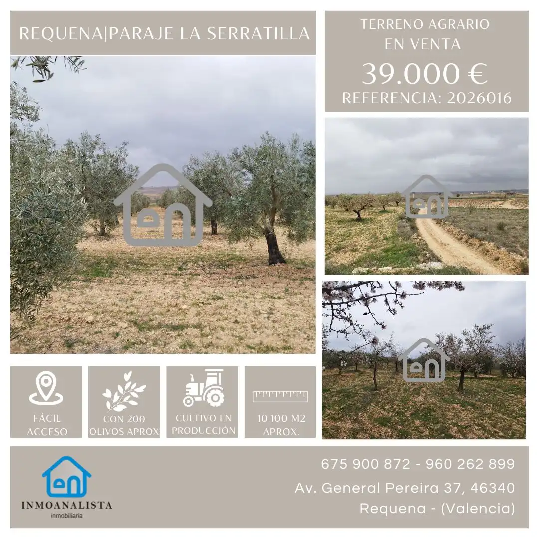 Rural land for sale in Requena