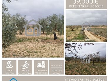 Terrain rustique à vendre à Requena