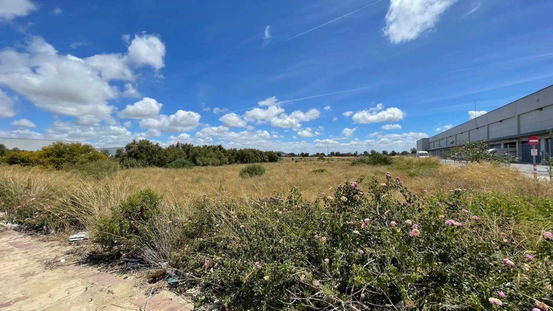 Terreny industrial en venda a El Juncal - Vallealto