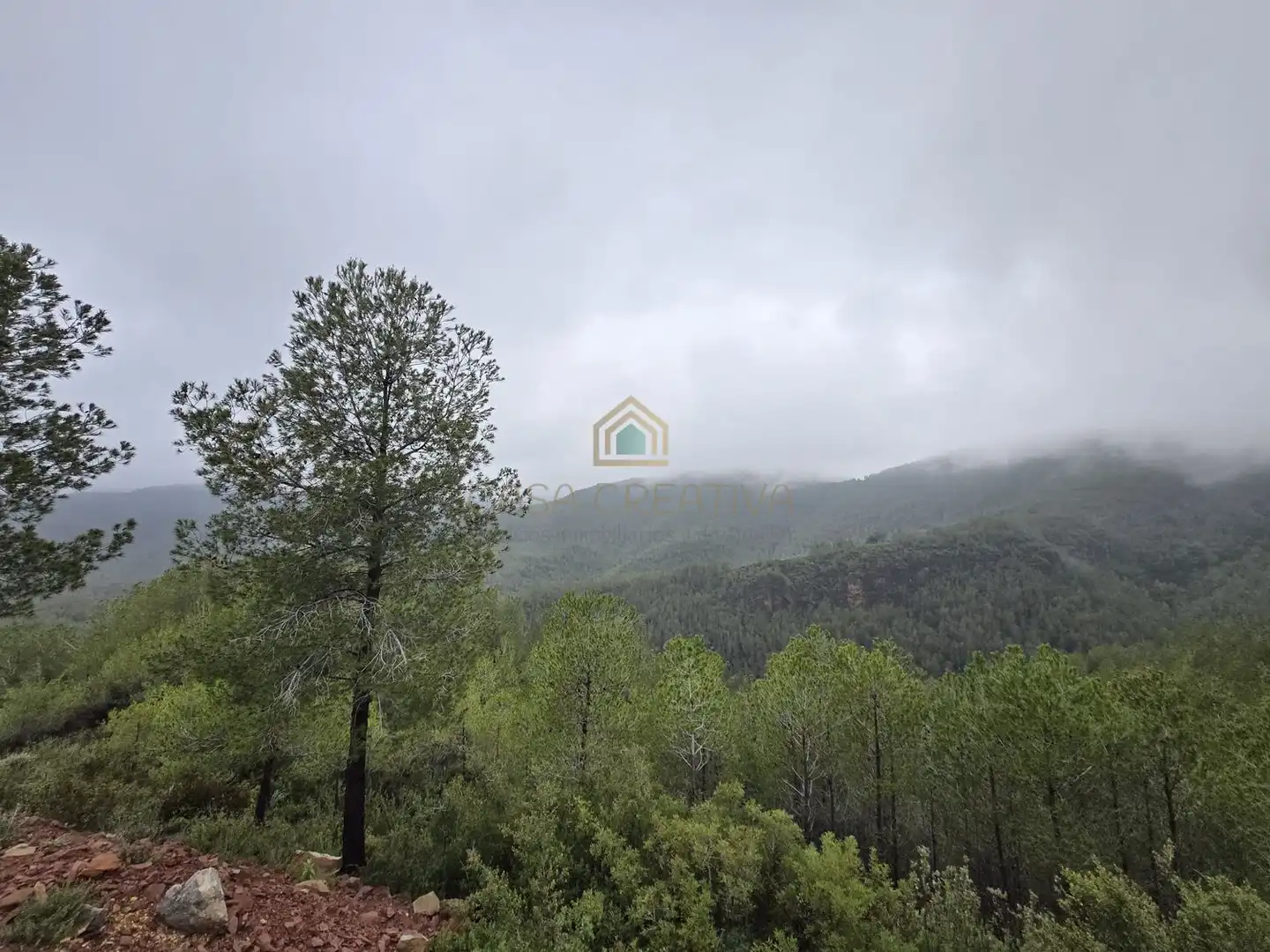 Casa o chalet en venta en Torralba del Pinar
