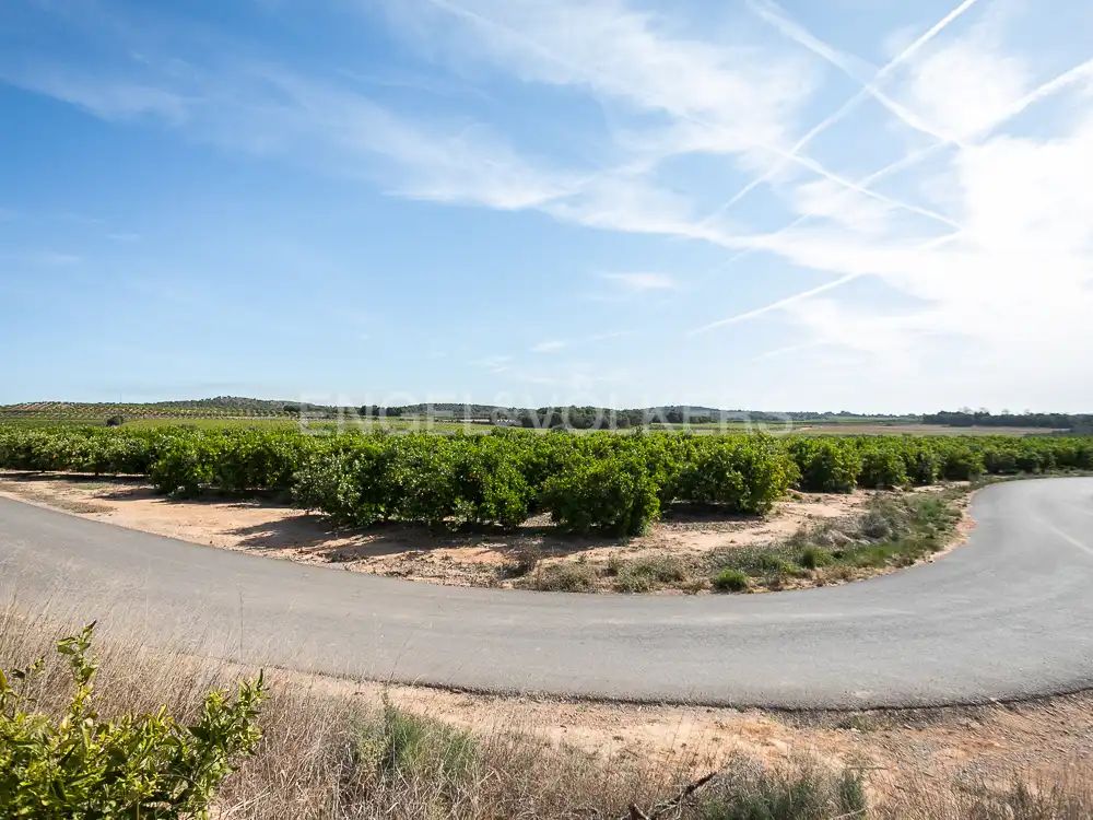 Terrenos y solares en venta en Pedralba, imagen 8