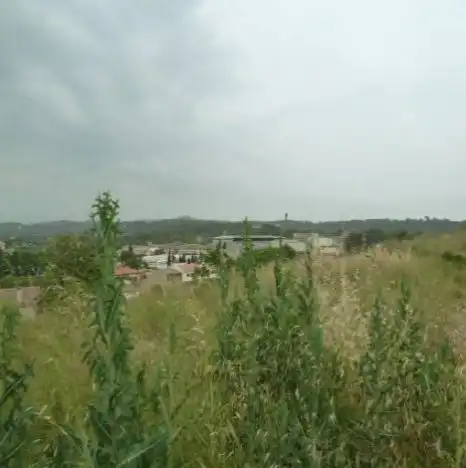 Terrenys i solars en venda a sect 40 Llevant de Pau Casals, imagen 3