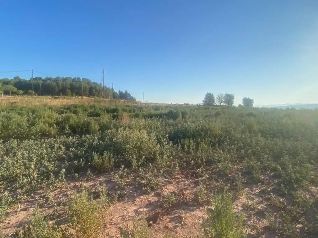 Terreny residencial en venda a Sant Fruitós de Bages, imagen 11