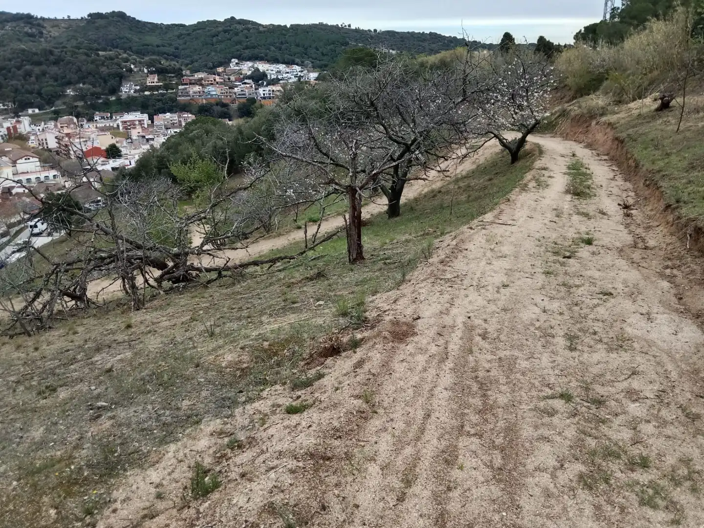 Land for sale in Arenys de Munt
