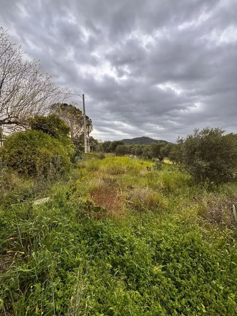 Terreno residencial en venta en Urbanitzacio Garrigots, imagen 9