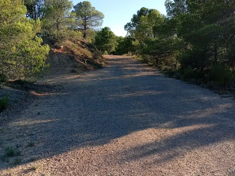 Terreno en venta en Torre de Arcas