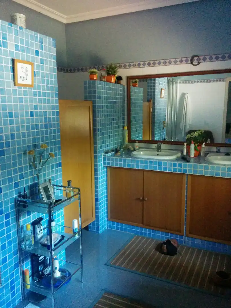 Bany de Casa o xalet en venda en Alcalá de Guadaira amb Aire condicionat, Calefacció i Jardí privat