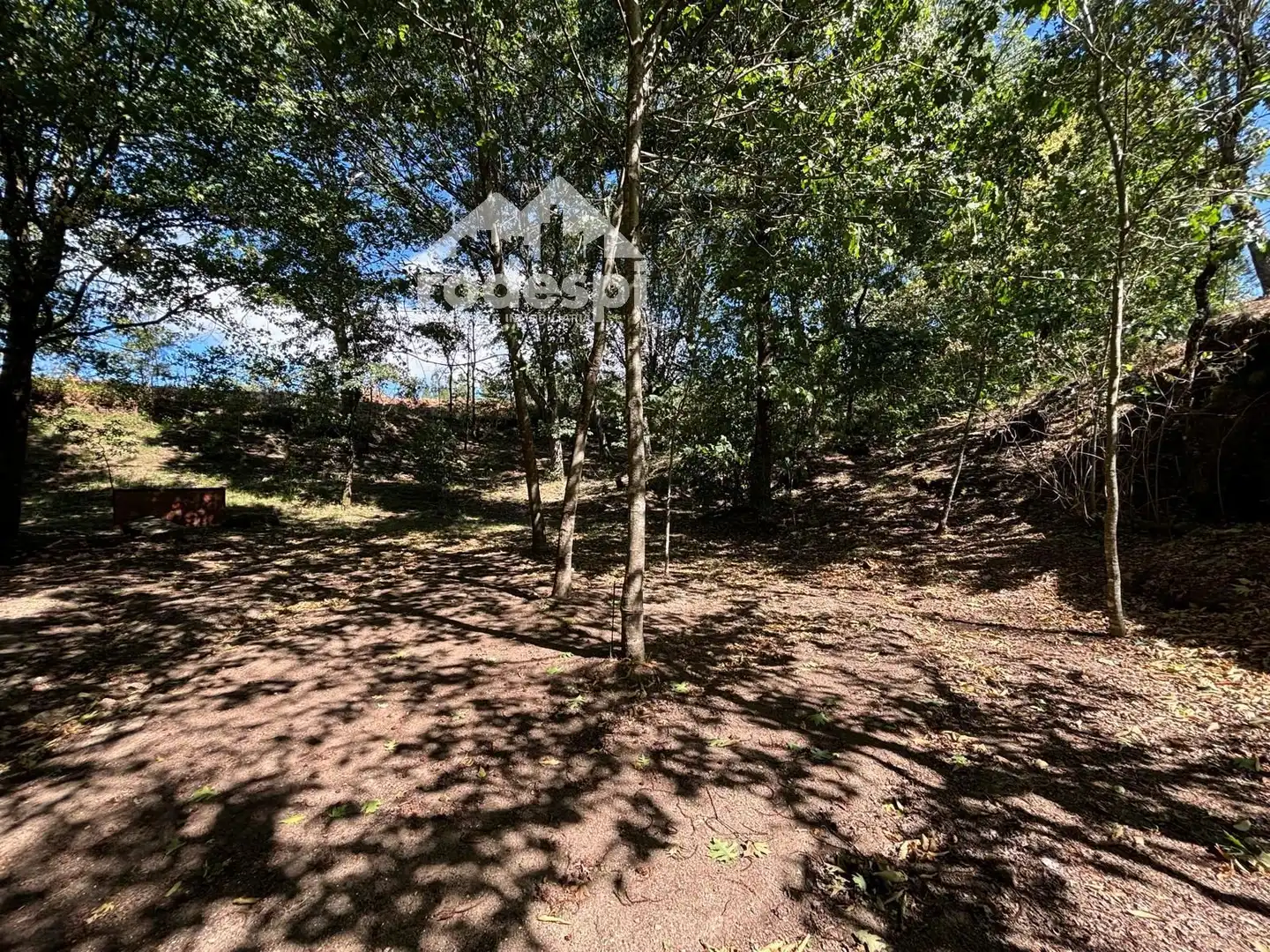 Terreny rústic en venda a A Cañiza, imagen 13