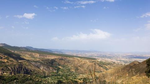 Photo 5 of Land for sale in  Haza del Collado, Zona baja, Sierra Nevada