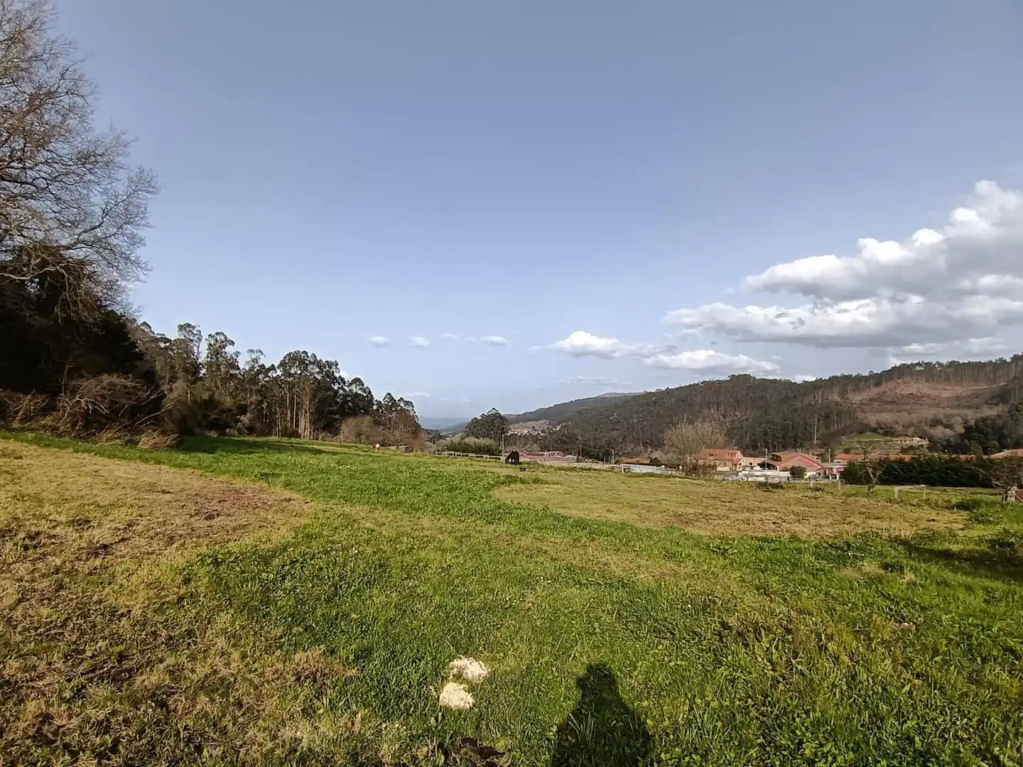 Country homes for sale in Meis