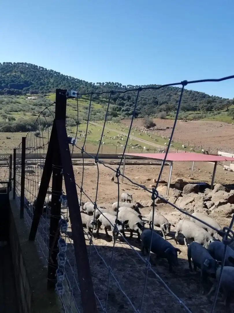 Vista exterior de Finca rústica en venda en Almadén de la Plata amb Calefacció i Terrassa