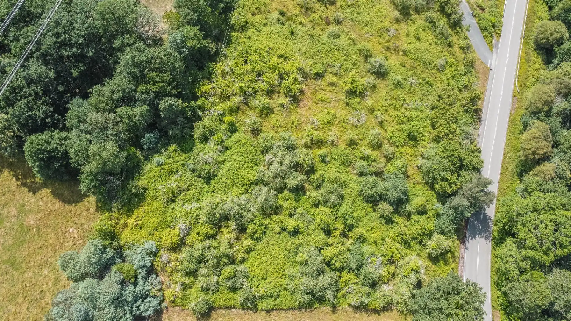 Rural land for sale in del pareo, imagen 29